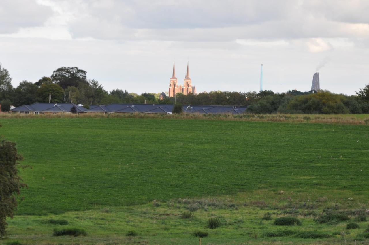 Kærgaard